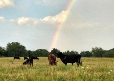 Rainbow on That One Farm